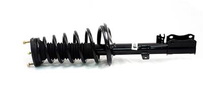 Gabriel Ultra ReadyMount Struts - G57613