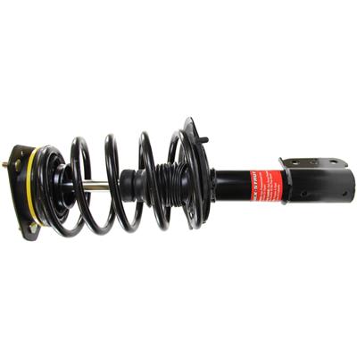 Monroe Quick-Struts - 172903