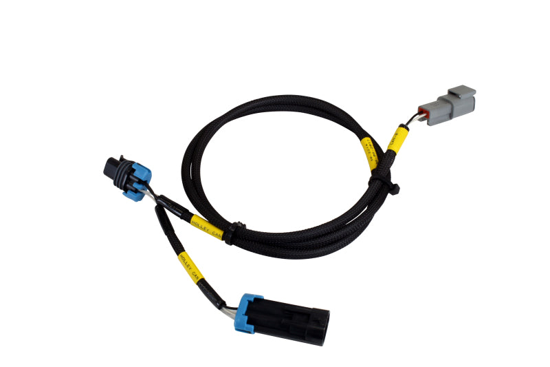 AEM Electronics CD-7/CD-7L Plug & Play Adapter Harness For Holley EFI