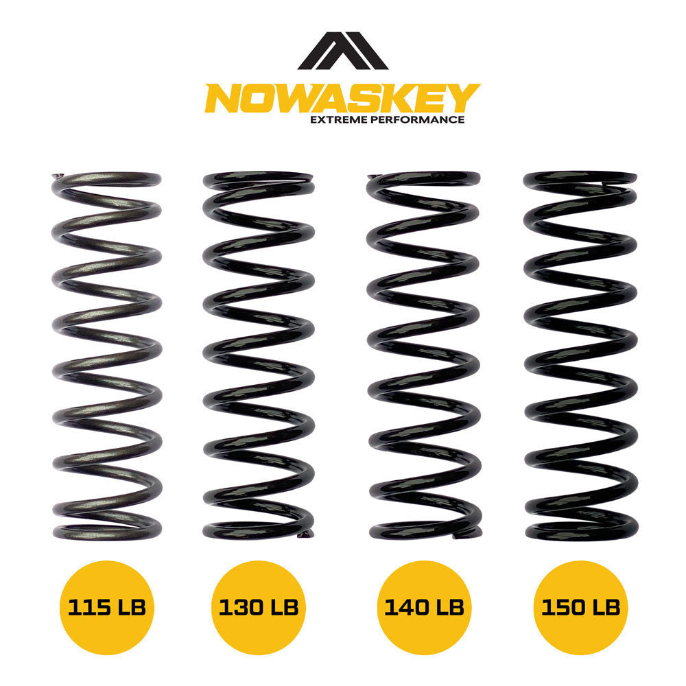 Shocks Springs (100 LB)