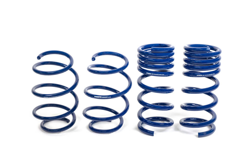 Sport Suspension Spring KIt 15-21 Mustang - 5558242