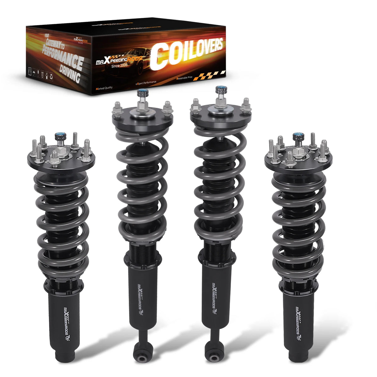 MaXpeedingrods T7 Coilovers for Acura TL UA6 2004-2008 and Honda Accord CM 2003-2007, 24-Level Damping