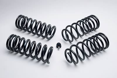 Ford Performance Parts Lowering Spring Kits - M5300G