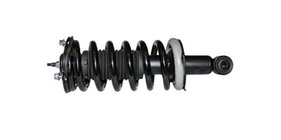 Gabriel Ultra ReadyMount Struts - G57092