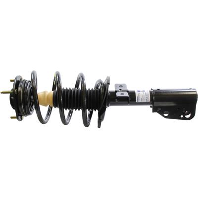 Monroe Quick-Struts - 172518