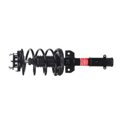 Monroe Quick-Struts - 172540