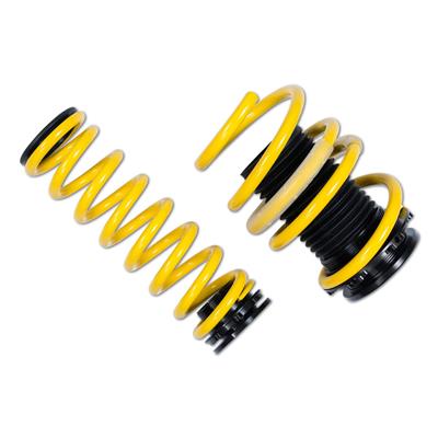 ST Suspensions Adjustable Lowering Springs - 27320063