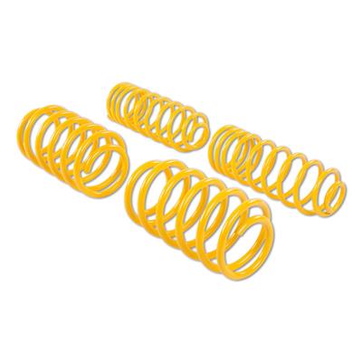 ST Suspensions Coil Springs - 28215041