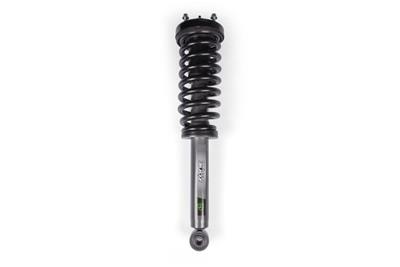 Zone Offroad Strut Assembly, Loaded, Twin Tube, Front, 4.00 in. Lift, Ford, Gray, Each - ZONF4402